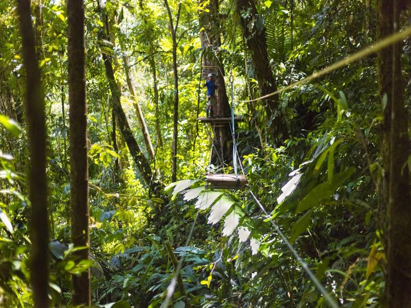 Pacuare Lodge image