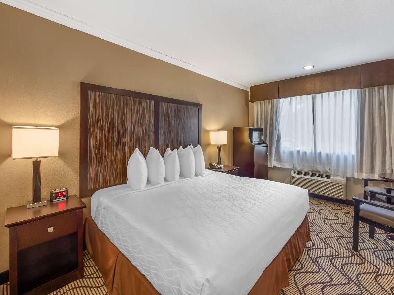 Best Western Plus Orchid Hotel & Suites image