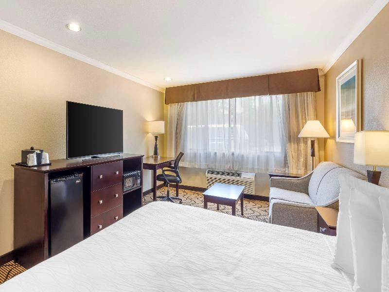 Best Western Plus Orchid Hotel & Suites image