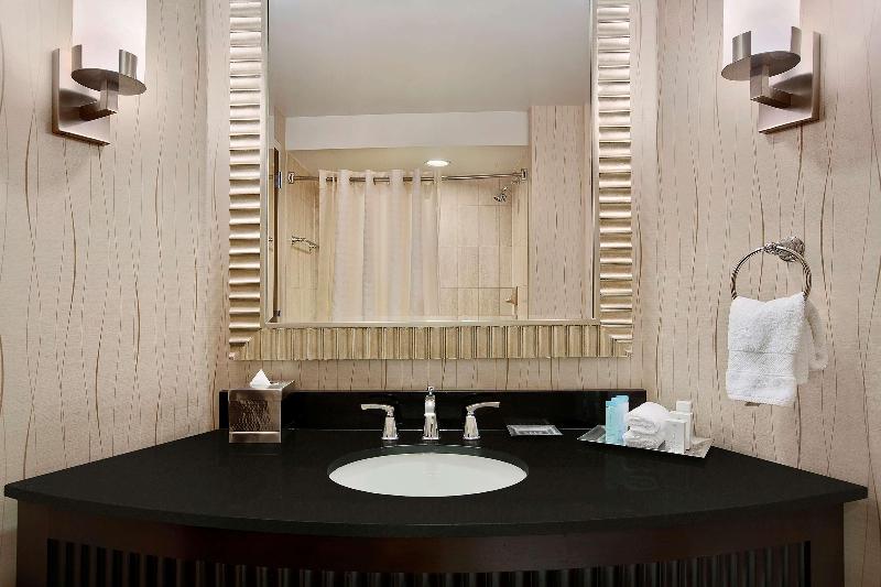 Hilton Rosemont/Chicago O'Hare image