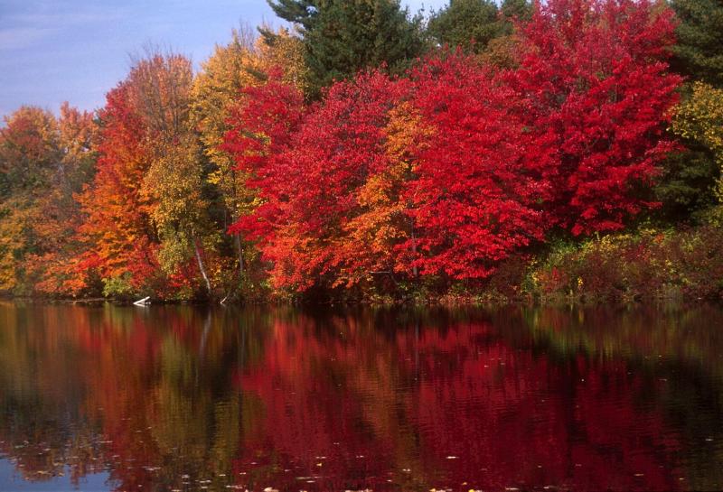 Manor On Golden Pond image