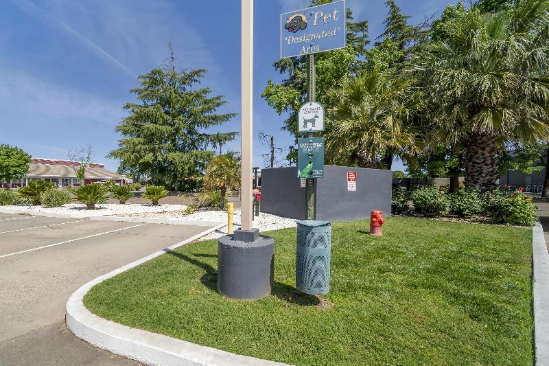 Best Western Antelope Inn & Suites image