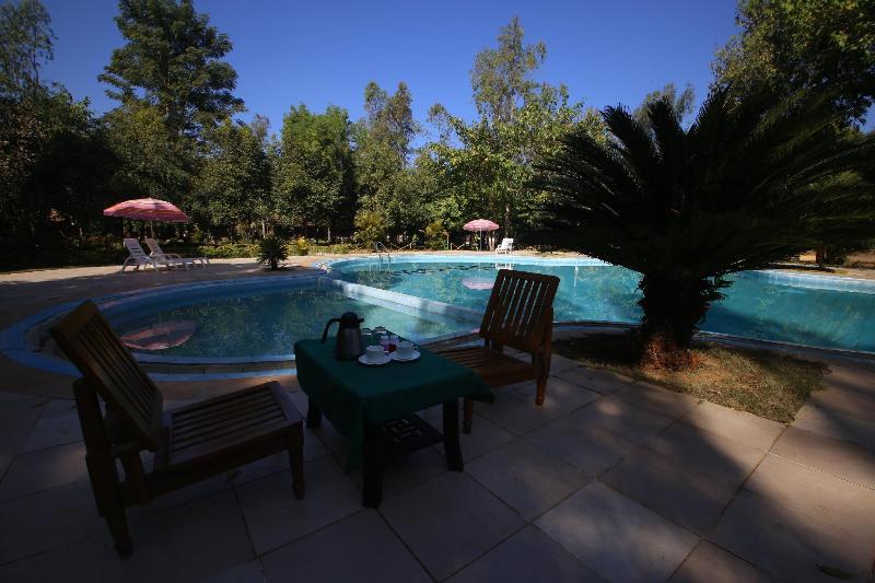 Mogli Jungle Resorts