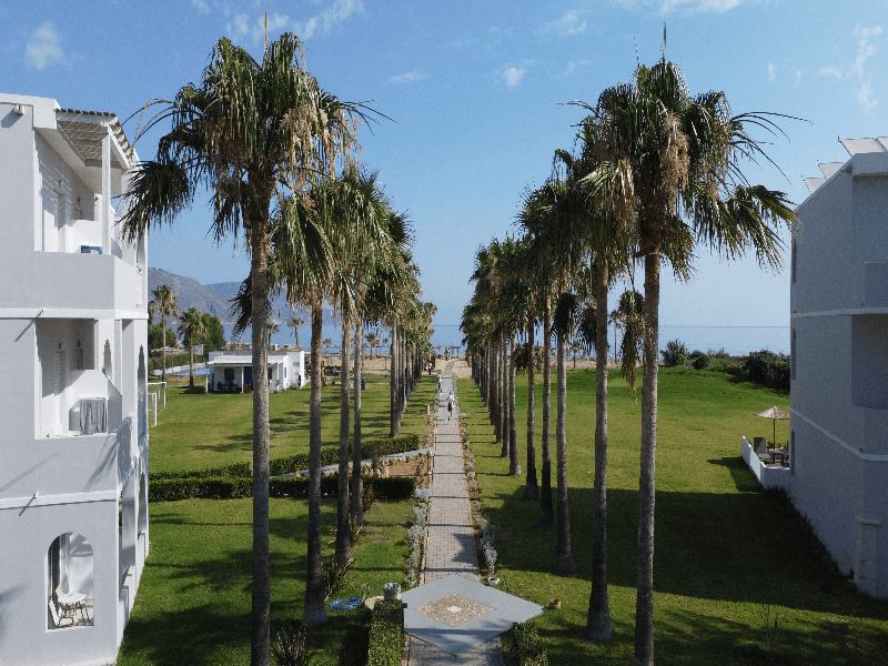 Delfina Tropic Beach image