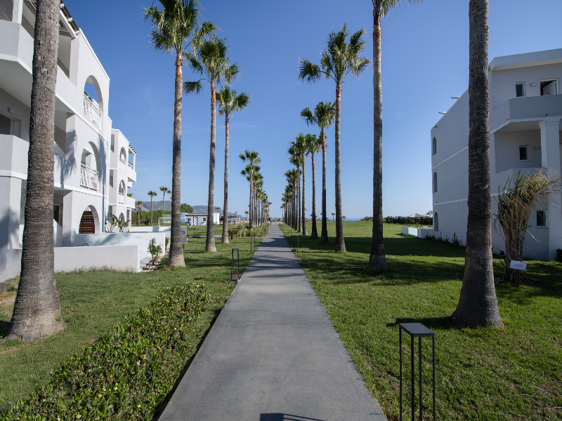 Delfina Tropic Beach image