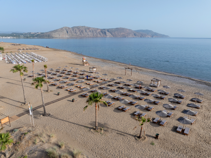 Delfina Tropic Beach image