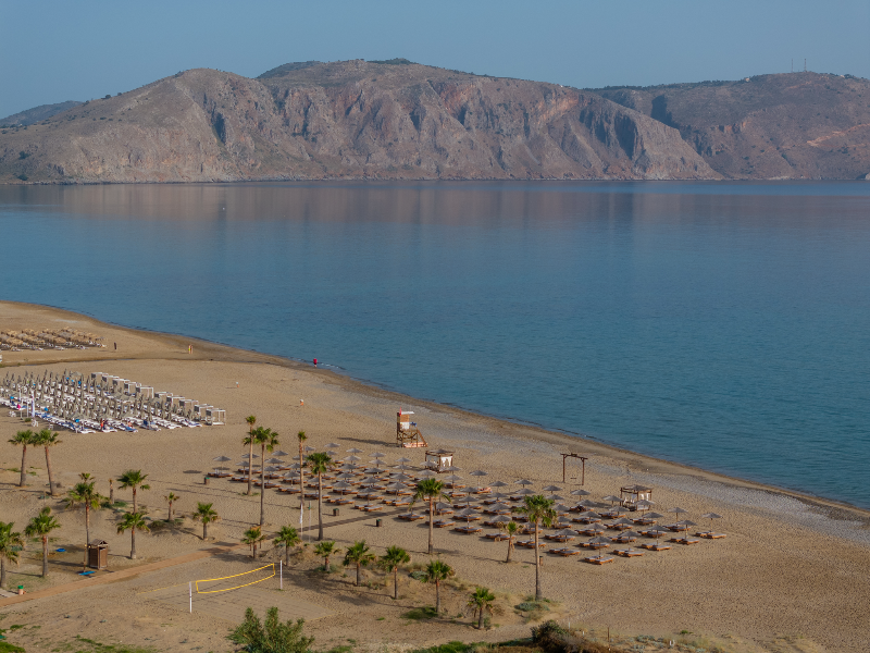 Delfina Tropic Beach image