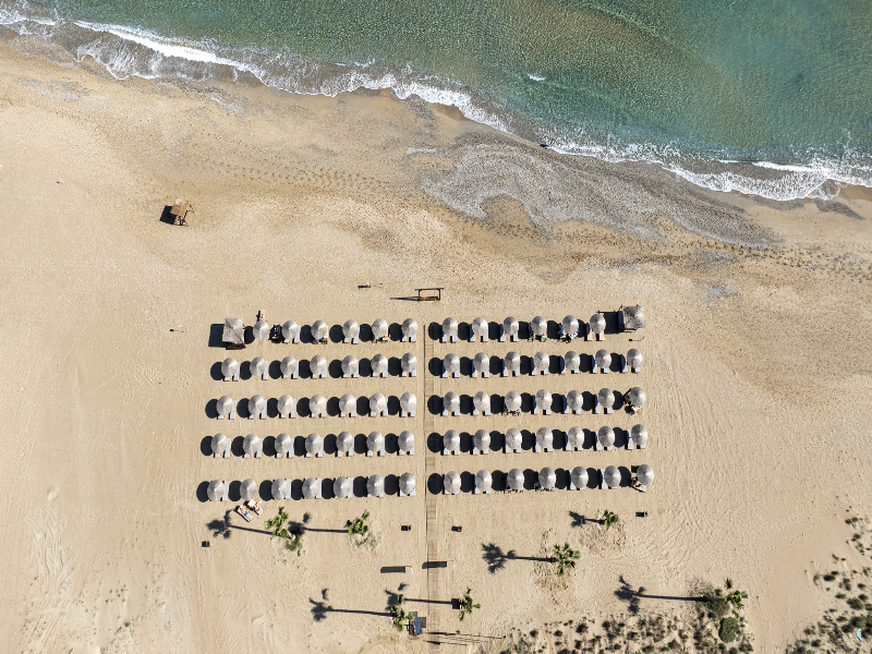 Delfina Tropic Beach image