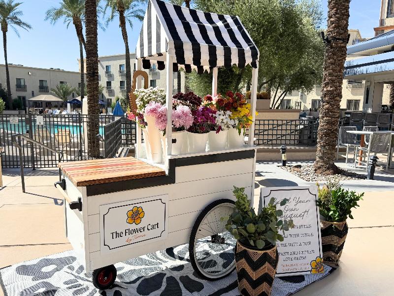 Hilton Scottsdale Resort & Villas image