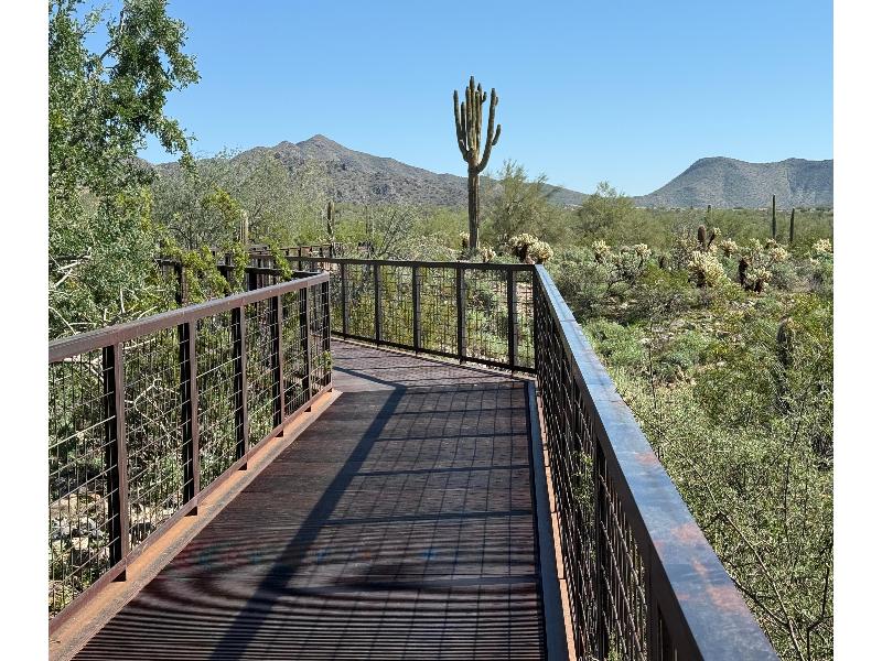 Hilton Scottsdale Resort & Villas image