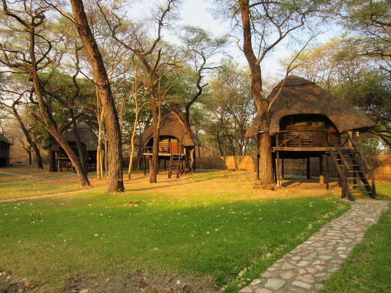 Sikumi Tree Lodge