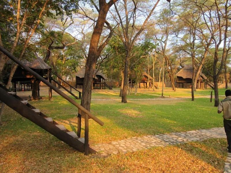 Sikumi Tree Lodge