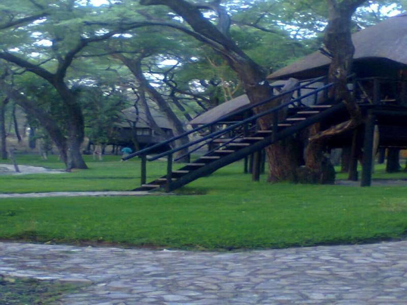 Sikumi Tree Lodge