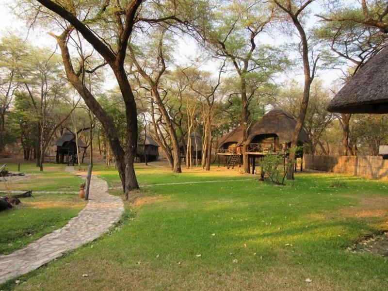 Sikumi Tree Lodge