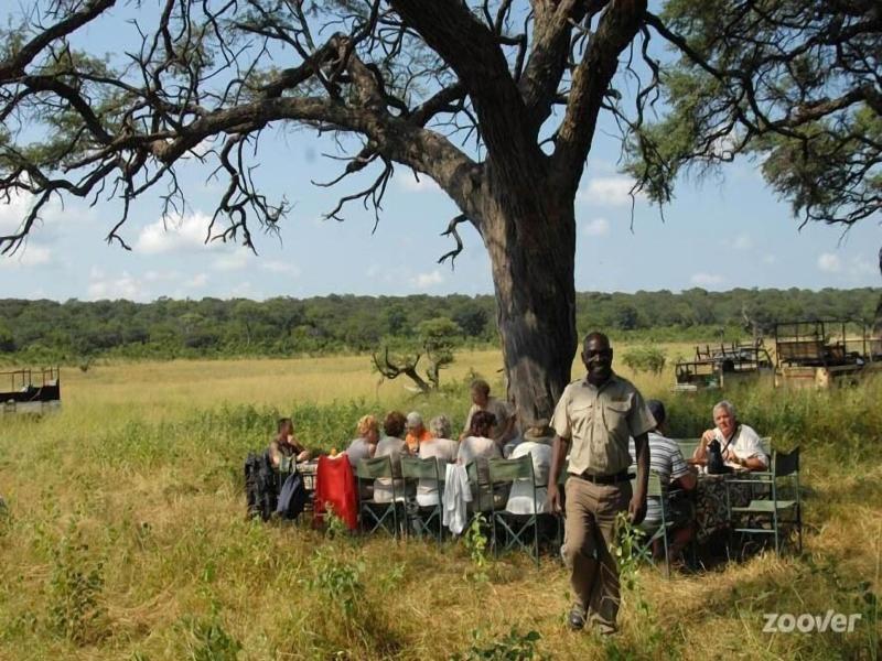 Sikumi Tree Lodge
