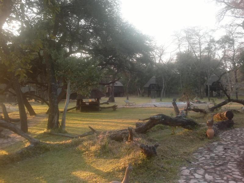 Sikumi Tree Lodge