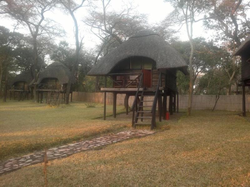 Sikumi Tree Lodge