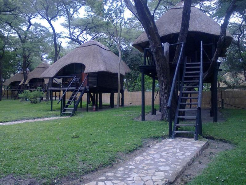Sikumi Tree Lodge