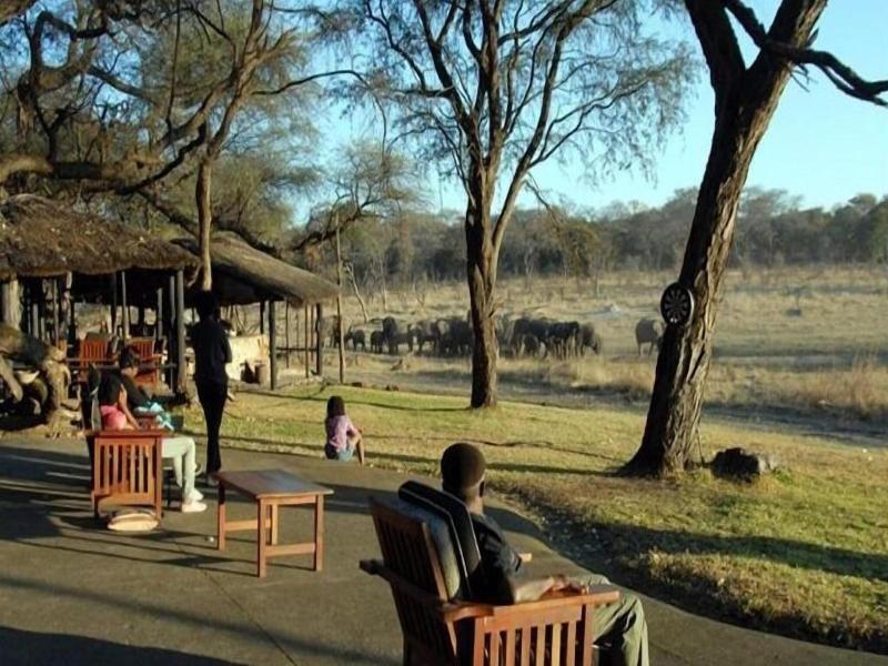 Sikumi Tree Lodge