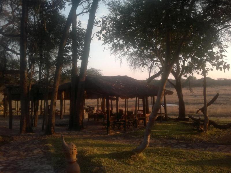 Sikumi Tree Lodge