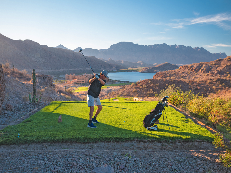 Villa del Palmar Loreto image