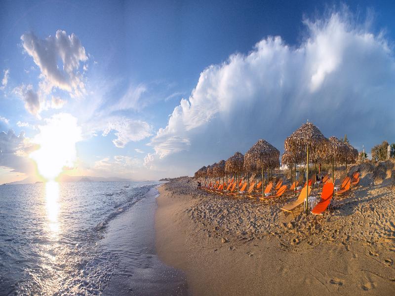 Plaza Beach Hotel image