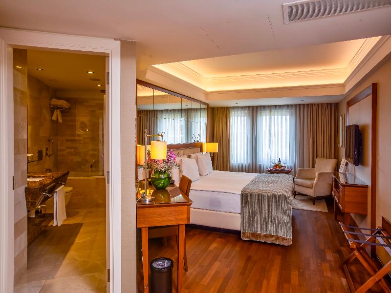 Marigold Thermal and Spa Hotel Bursa image