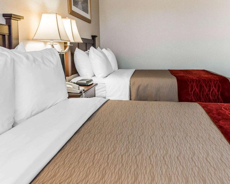 Comfort Inn Somerset image