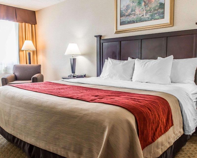 Comfort Inn Somerset image
