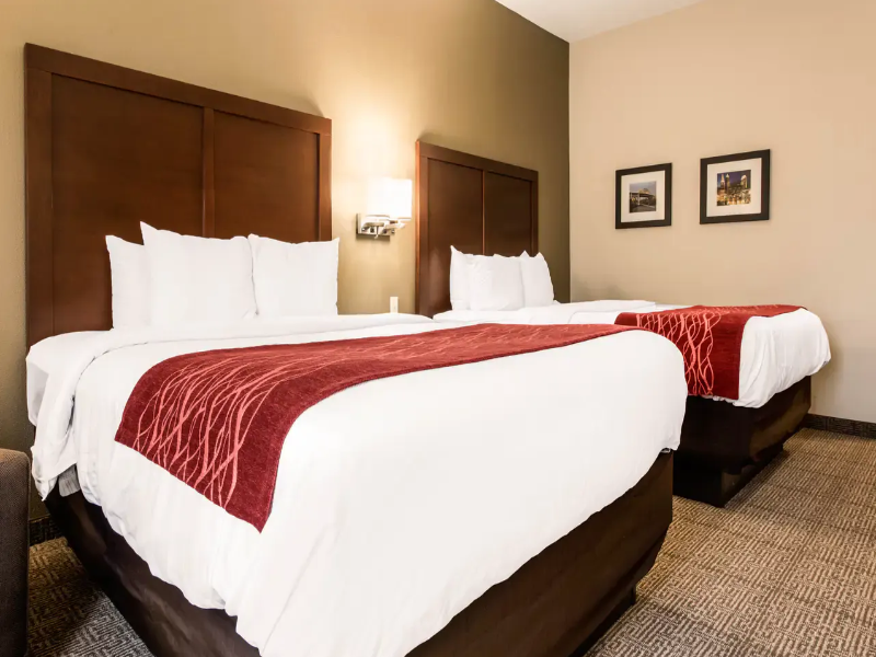 Quality Inn & Suites CARTERSVILLE image