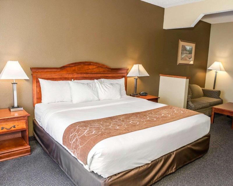 Hotel Comfort Suites Auburn