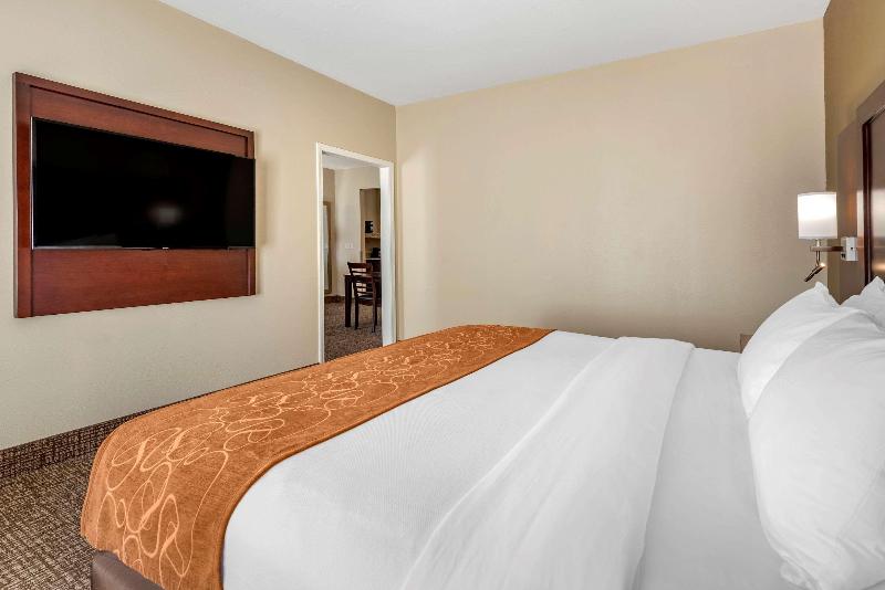 Comfort Suites Auburn Near I-69 image