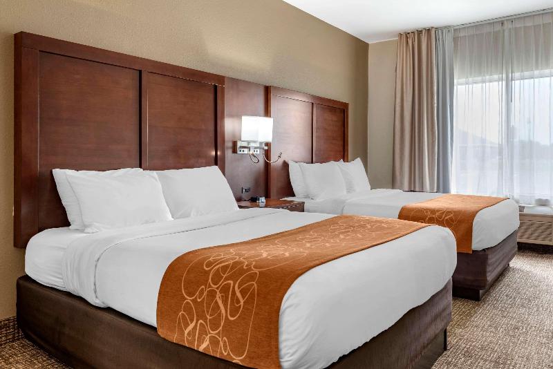 Comfort Suites Auburn Near I-69 image