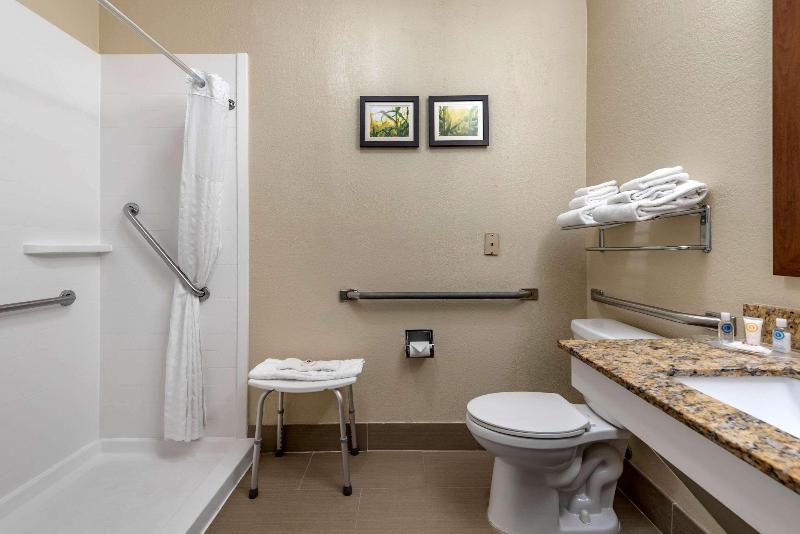 Comfort Suites Auburn Near I-69 image