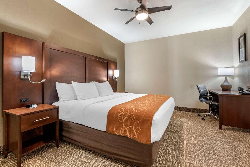Comfort Suites Auburn Near I-69 image
