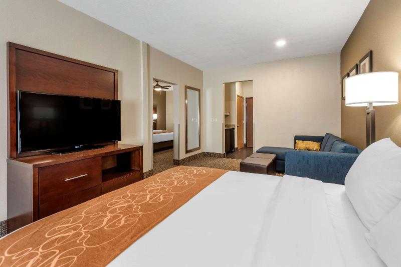 Comfort Suites Auburn Near I-69 image