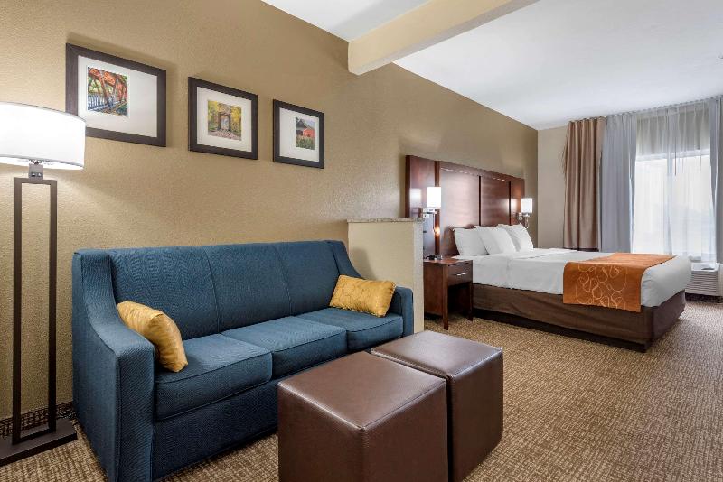 Comfort Suites Auburn Near I-69 image