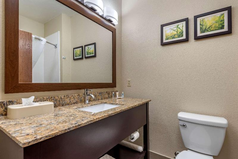 Comfort Suites Auburn Near I-69 image