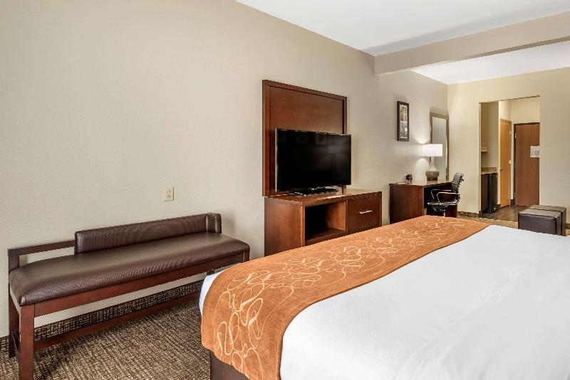 Comfort Suites Auburn Near I-69 image