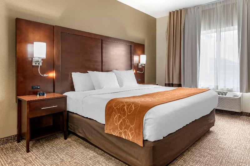 Comfort Suites Auburn Near I-69 image