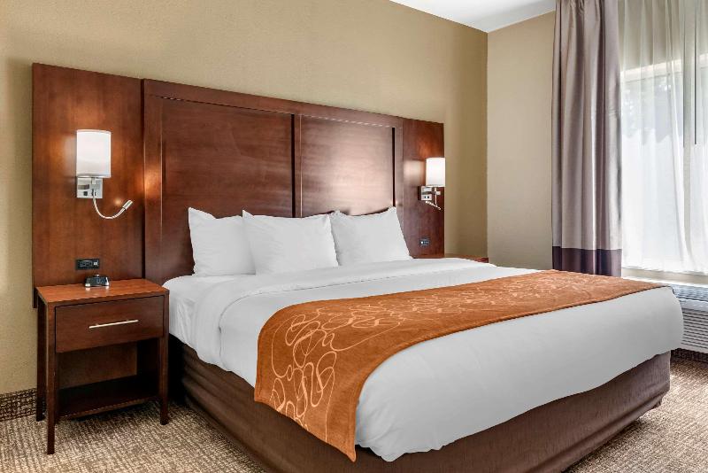 Comfort Suites Auburn Near I-69 image