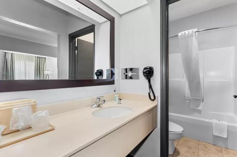 Quality Inn & Suites Civic Center image