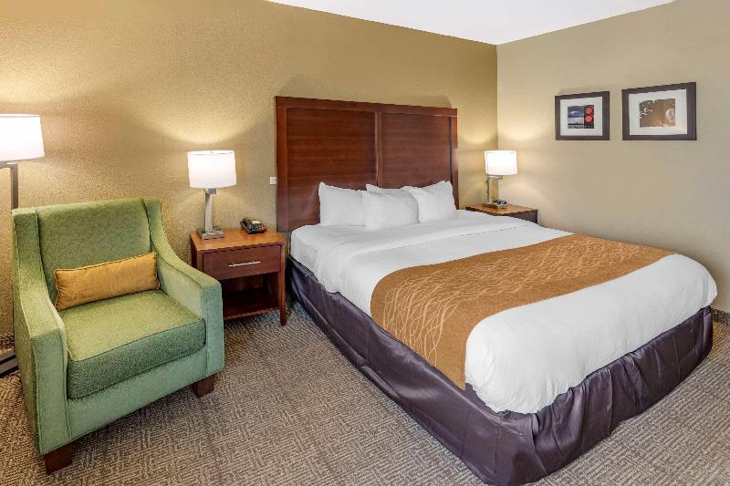 Hotel Comfort Inn & Suites Lincoln Talladega I-20