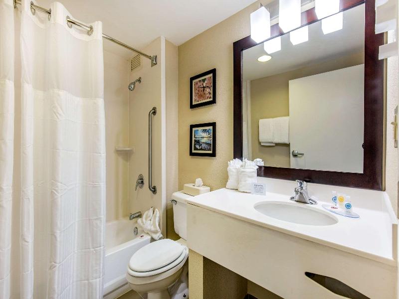 Comfort Inn College Park North image