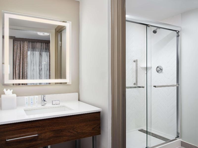 Hampton Inn & Suites New Orleans Canal St. French image