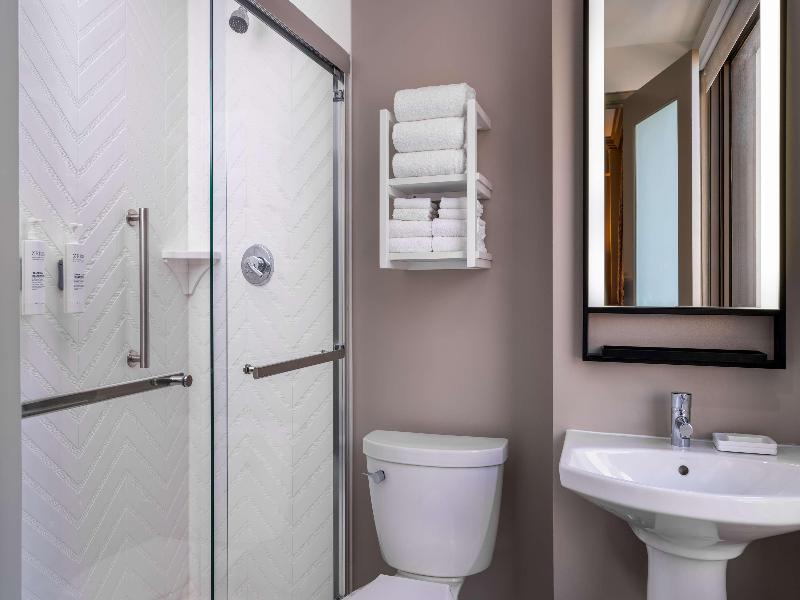 Hampton Inn & Suites New Orleans Canal St. French image
