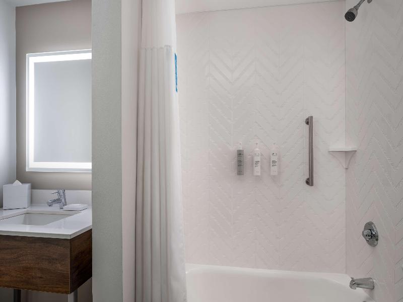 Hampton Inn & Suites New Orleans Canal St. French image