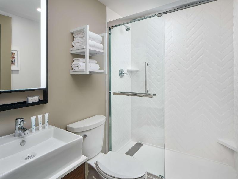 Hampton Inn & Suites New Orleans Canal St. French image