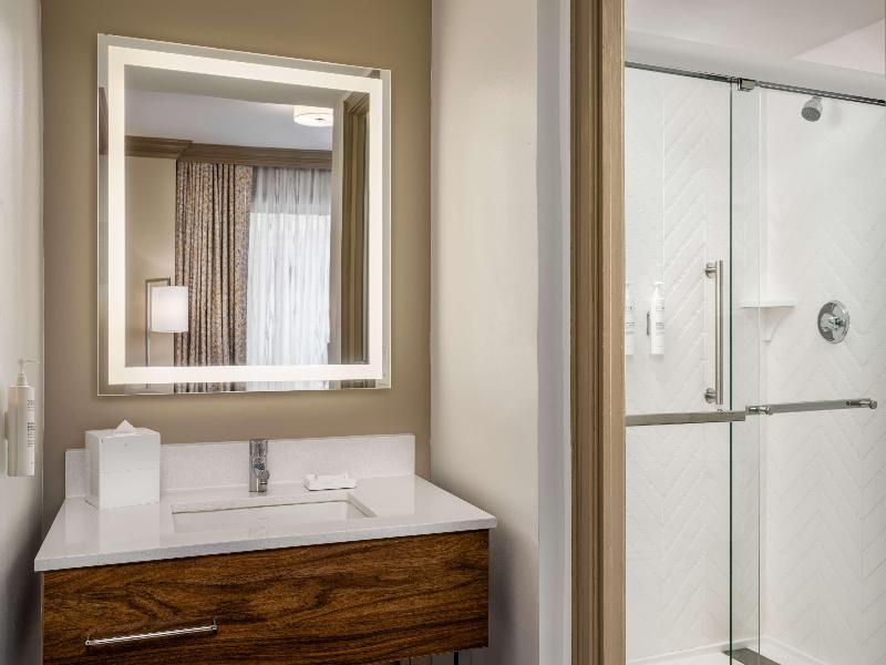 Hampton Inn & Suites New Orleans Canal St. French image