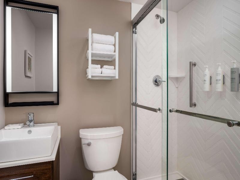 Hampton Inn & Suites New Orleans Canal St. French image